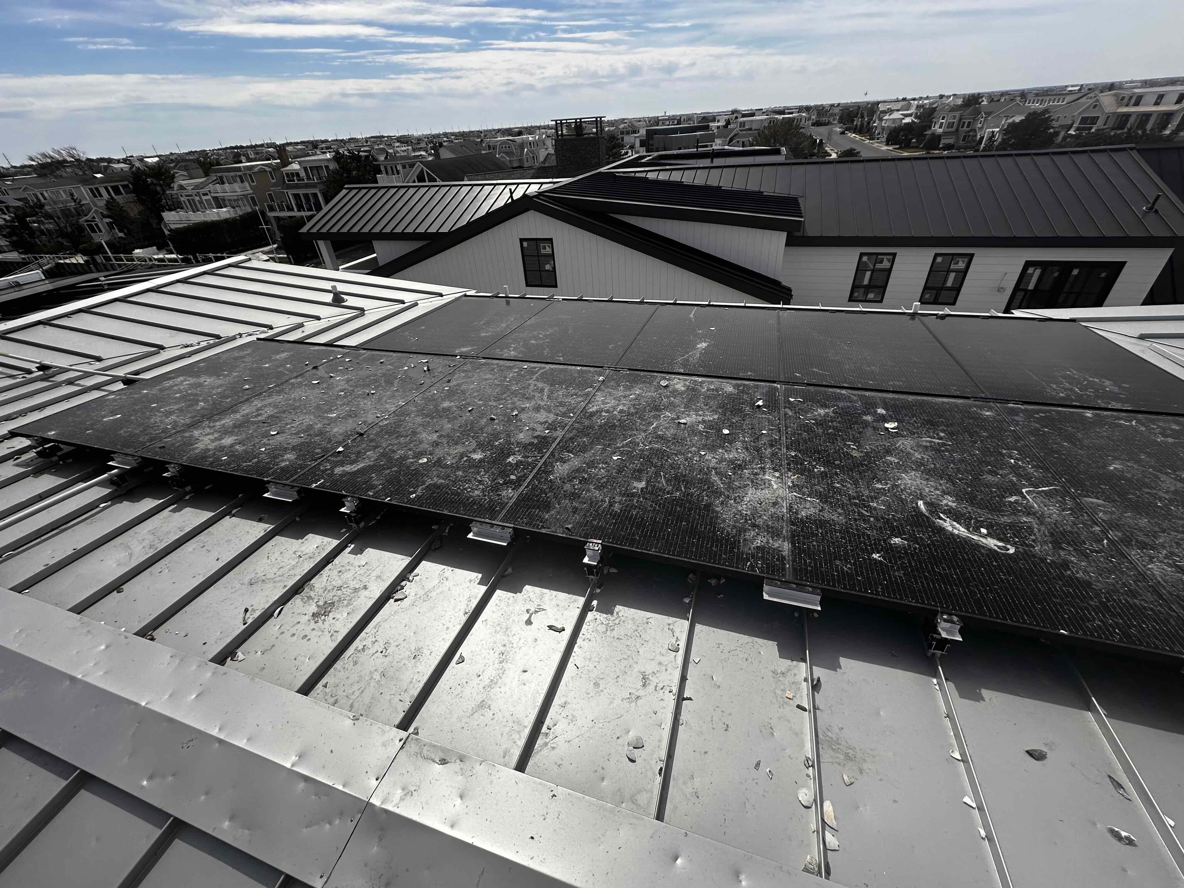 Seagulls drop rocks on solar panels