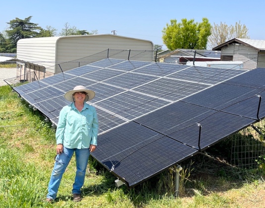 DIY owner installs solar net on array 1a