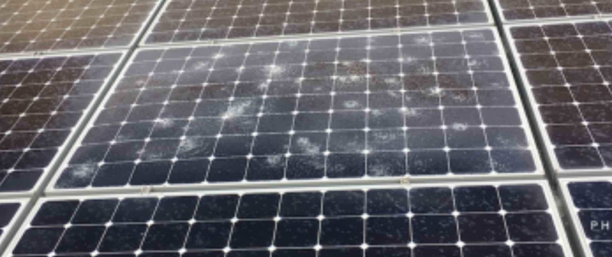 Hail damage to solar panel without solar nets