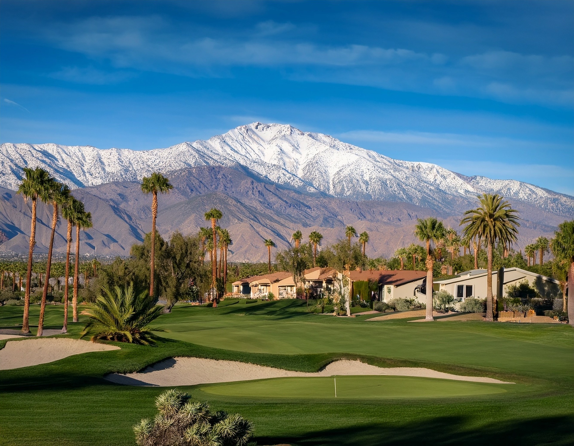 Palm Springs Pic.jpg