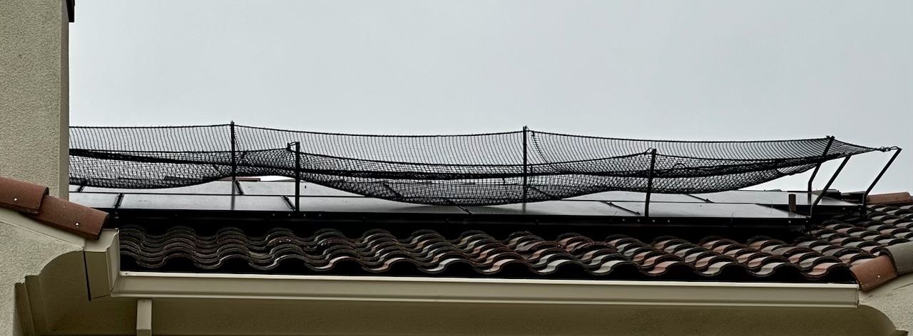 Newly installed nets need to be tightened in the cool morning to minimize sag.