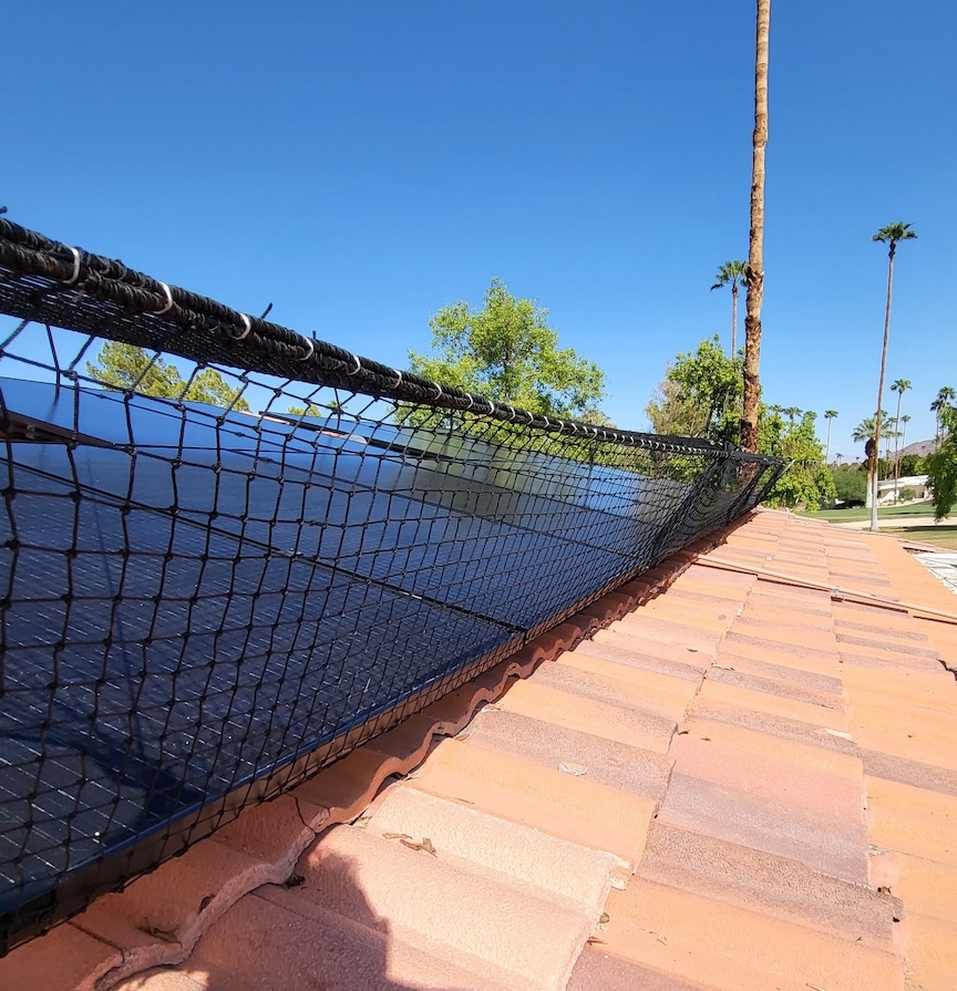 Side view of nice net 2a.jpg
